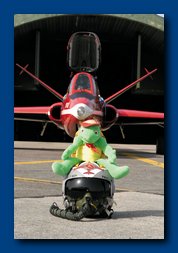 [Click to enlarge image]